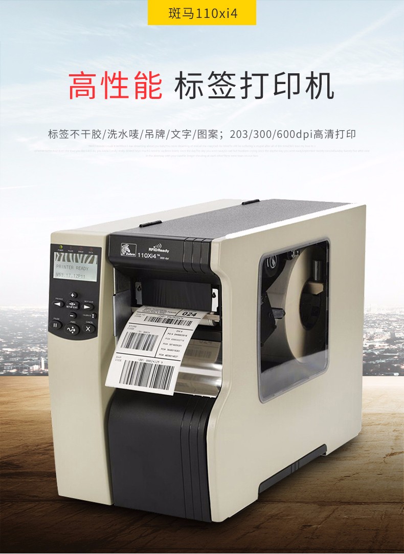 斑马110.jpg