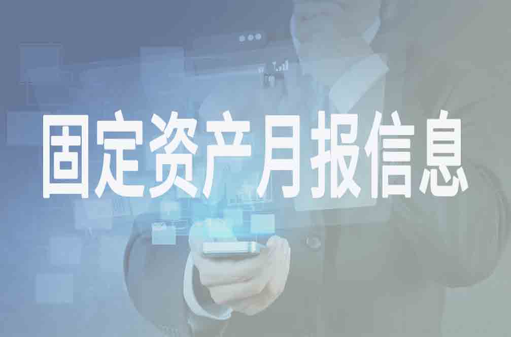 固定资产月报信息